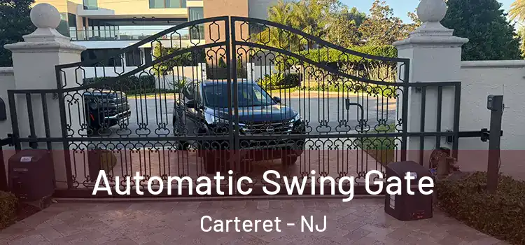  Automatic Swing Gate Carteret - NJ