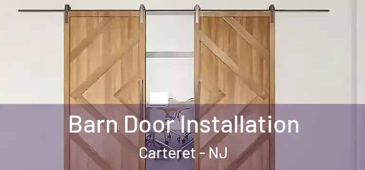  Barn Door Installation Carteret - NJ