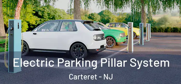  Electric Parking Pillar System Carteret - NJ