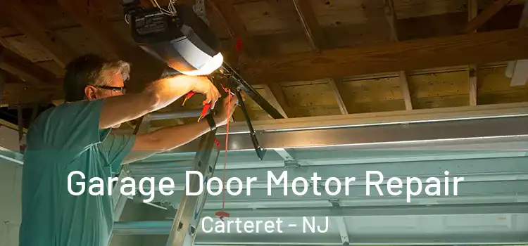  Garage Door Motor Repair Carteret - NJ