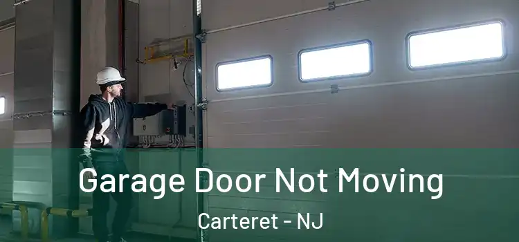  Garage Door Not Moving Carteret - NJ