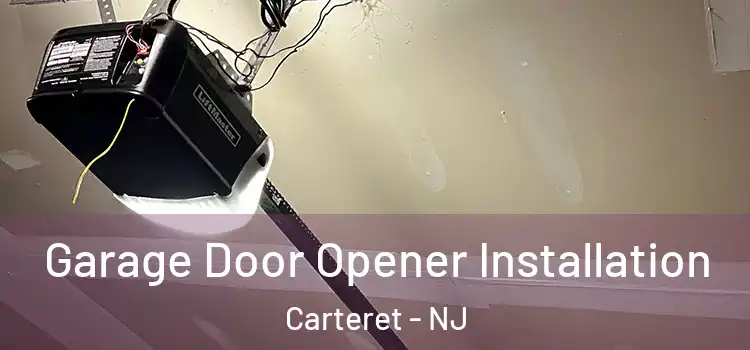  Garage Door Opener Installation Carteret - NJ