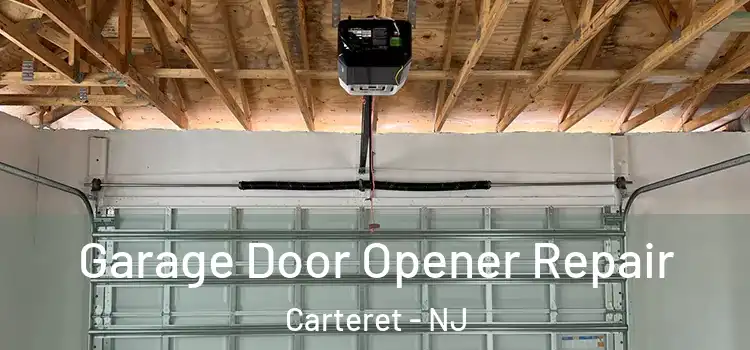  Garage Door Opener Repair Carteret - NJ