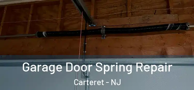  Garage Door Spring Repair Carteret - NJ