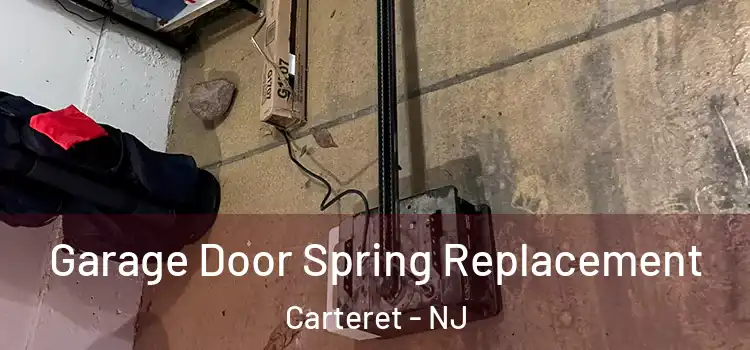  Garage Door Spring Replacement Carteret - NJ