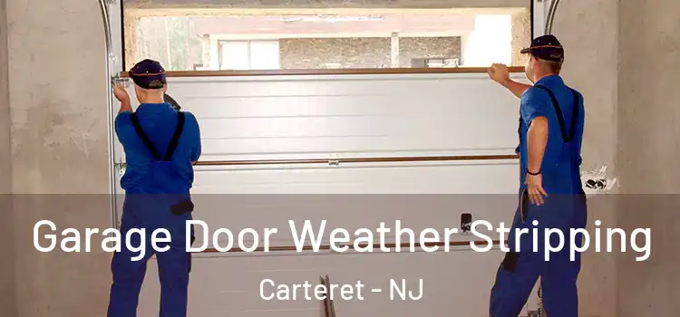 Garage Door Weather Stripping Carteret - NJ