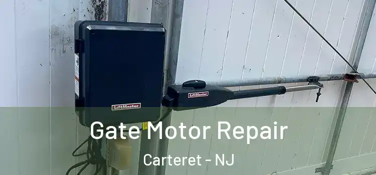  Gate Motor Repair Carteret - NJ