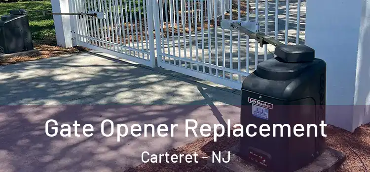 Gate Opener Replacement Carteret - NJ
