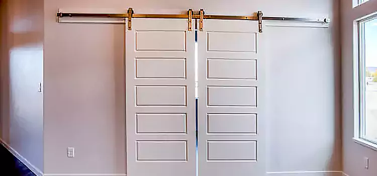 Glass Barn Door with Installation Hardware Kit Carteret