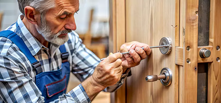 Mortise Replacement Lock Carteret