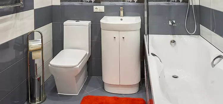Hansgrohe Shaving Mirror Carteret