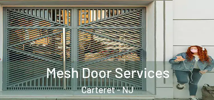  Mesh Door Services Carteret - NJ
