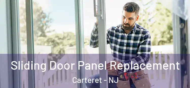  Sliding Door Panel Replacement Carteret - NJ